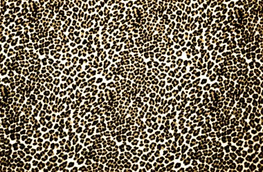 leopar baskı