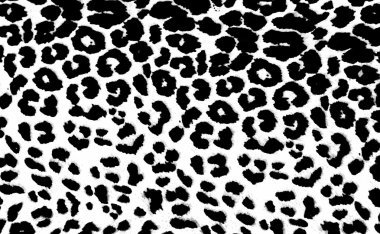 leopar baskı