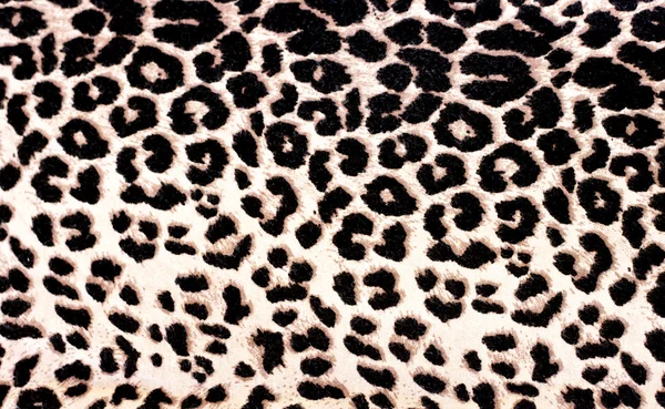 Leopard Print — Stock Photo, Image