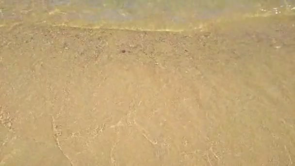 Wave op de kustlijn close-up met schoon zand en water — Stockvideo
