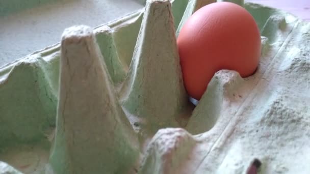 A womans hand takes a beige egg from an egg box — Stock Video