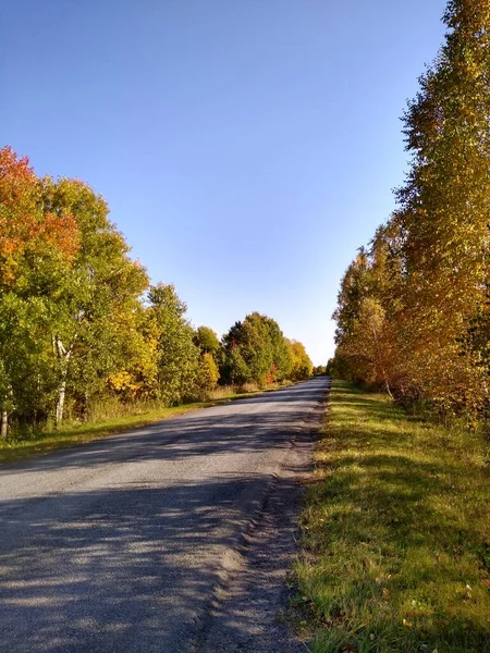 푸른 하늘을 배경으로 가을 숲 속의 아스팔트 길 — 스톡 사진