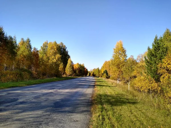 Uma estrada de asfalto em uma floresta de outono com um céu azul — Fotografia de Stock