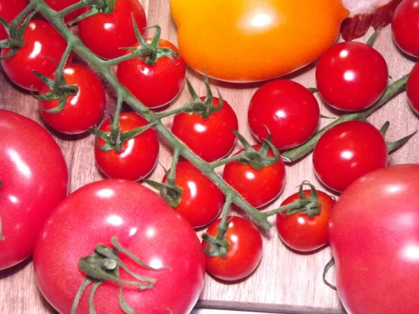 Pomidory o różnych rozmiarach i kolorach, żółte i czerwone — Zdjęcie stockowe
