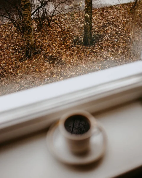 Coffee Cup Dry Brown Flowers Window — Stock Photo, Image