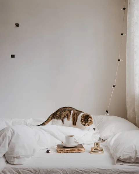 Kahve Kitap Beyaz Yatakta — Stok fotoğraf