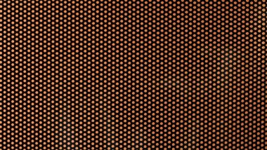 Grid on a microwave oven door. Texture.