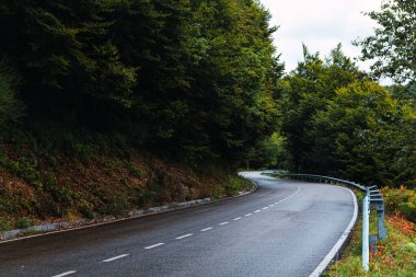 Yağmurlu bir günde ormanın içinden geçen yol