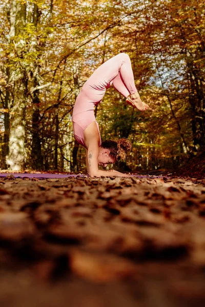 Latin kadın ormanda yoga dengesi uyguluyor, vrischikasana egzersizi yapıyor, akrep pozu veriyor..