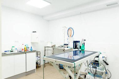 Veteriner kliniği ameliyathanesinde insanlar olmadan. Ameliyathane.