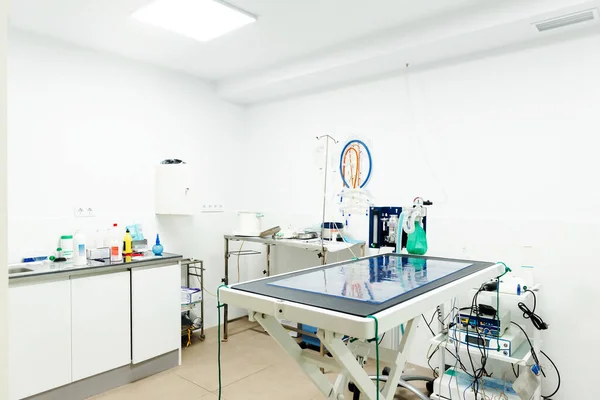 Veteriner kliniği ameliyathanesinde insanlar olmadan. Ameliyathane.