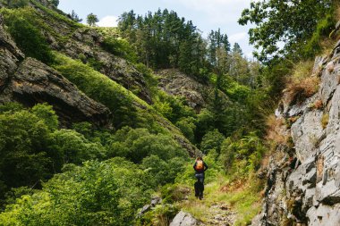 unrecognizable person with a backpack hiking with his dog through a mountain and forest landscape