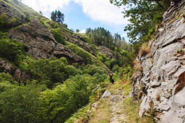unrecognizable person with a backpack hiking with his dog through a mountain and forest landscape