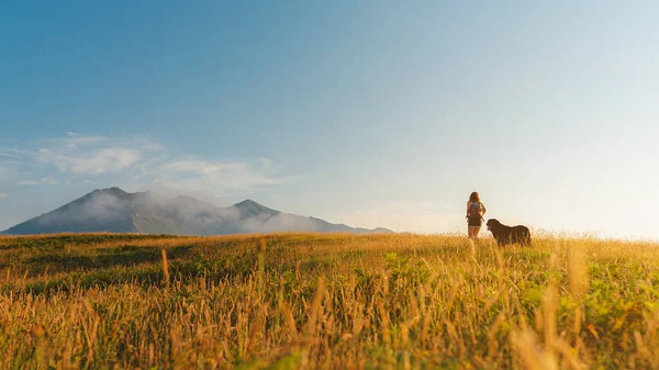 バックパックと犬を背負った女性は日没時に山の方へ歩いて黄金の野原をハイキングし — ストック写真