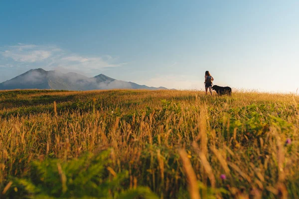 バックパックと犬を背負った女性は日没時に山の方へ歩いて黄金の野原をハイキングし — ストック写真