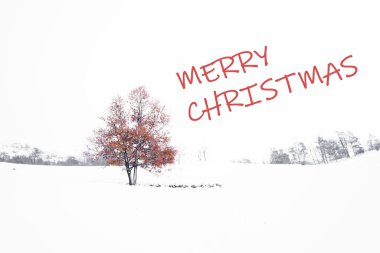Karların ortasında bir ağaç olan Noel kartı Mutlu Noeller
