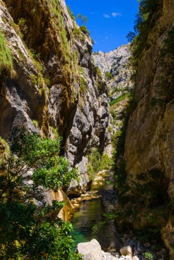 Nehir geçidi yolunu önemser. Picos de Europa Ulusal Parkı 'nda yürüyüş parkı, İspanya. Etkileyici uçurumlar arasındaki dağ yolu