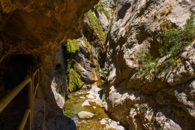 Nehir geçidi yolunu önemser. Picos de Europa Ulusal Parkı 'nda yürüyüş parkı, İspanya. Etkileyici uçurumlar arasındaki dağ yolu