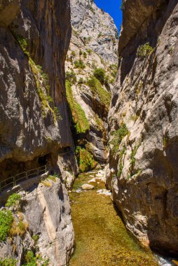 Nehir geçidi yolunu önemser. Picos de Europa Ulusal Parkı 'nda yürüyüş parkı, İspanya. Etkileyici uçurumlar arasındaki dağ yolu