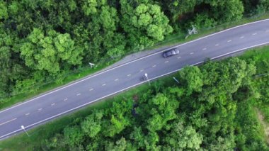 İki şeritli yol. Yolun iki yakası ağaçlarla dolu ve arabalar çalışıyor..