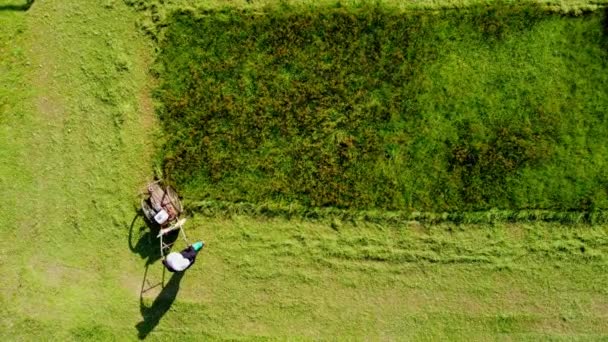 Jardinero Está Usando Una Cortadora Césped Campo Césped Verde — Vídeos de Stock