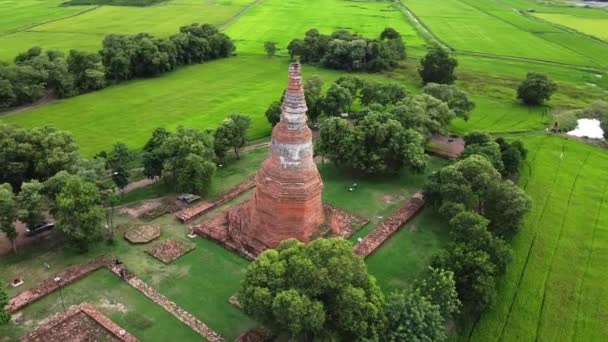 Стародавня Пагода Центрі Поля Рису Провінції Пха Накхон Аюттхая — стокове відео