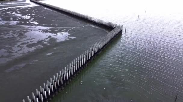 Concrete Columns Used Protection Lines Wave Erosion — Stock Video