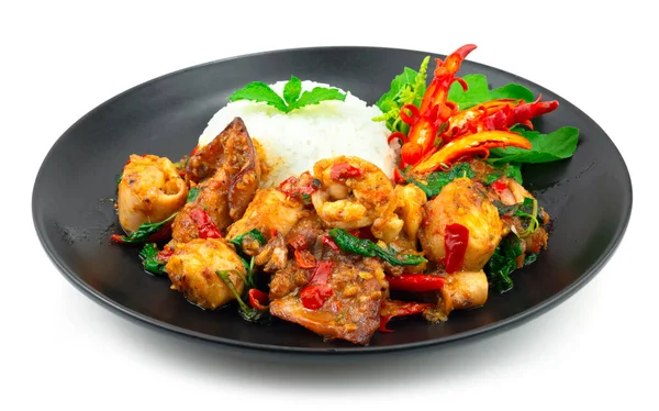 Gebratene Tintenfische Mit Basilikum Würzig Thaifood Serviert Reis Rezept Dekoration — Stockfoto