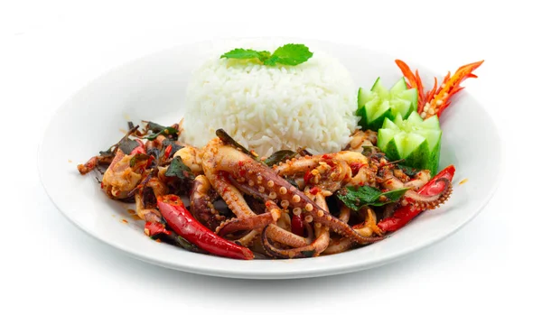 Stir Fried Tentacles Squids Spicy Basil Served Rice Recipe Thaifood — Foto Stock