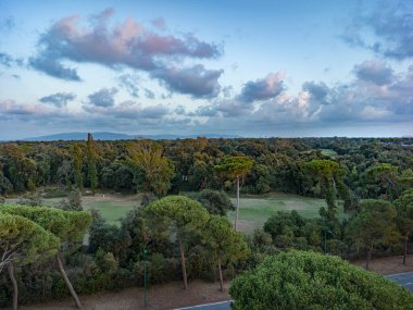 Deniz çam ormanı manzarası yukarıdan görünüyor, bulutlu gökyüzü ile 