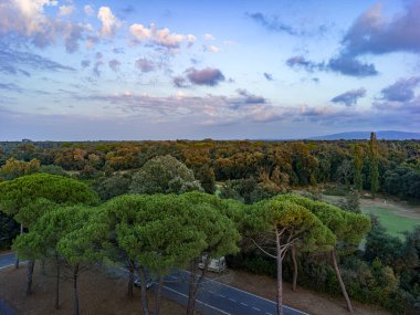 Deniz çam ormanı manzarası yukarıdan görünüyor, bulutlu gökyüzü ile 
