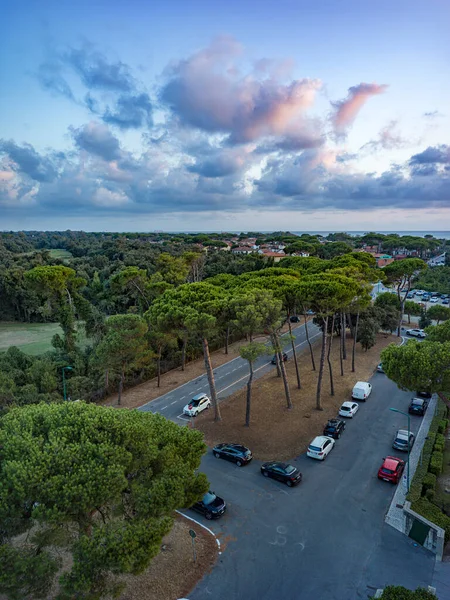 Maritime pine forest landscape seen from above, with cloudy sky