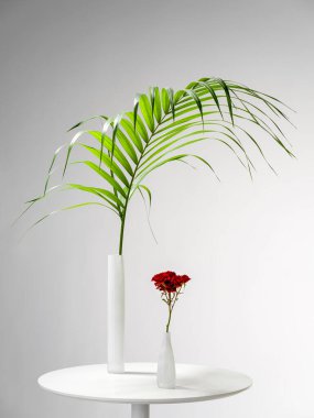 Kırmızı güller ve palmiye yapraklı kahve masası.