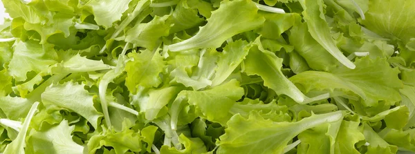 Frisse Natuurlijke Saladetextuur — Stockfoto