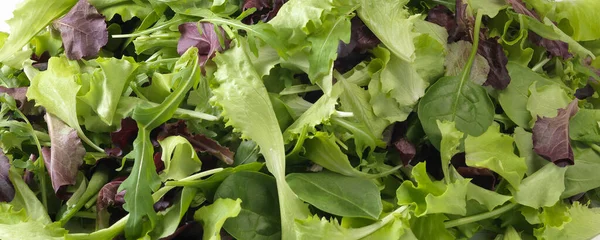 Friss Természetes Salátaszerkezet — Stock Fotó
