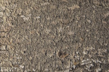 Taş ve beton duvar dokusu