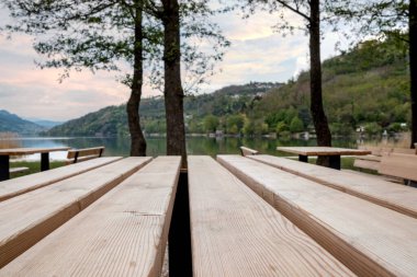 Ormanlık bir parkın manzarasında, ön planda tahta bir masa var.