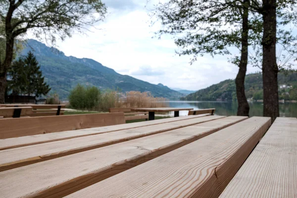 Ormanlık bir parkın manzarasında, ön planda tahta bir masa var.