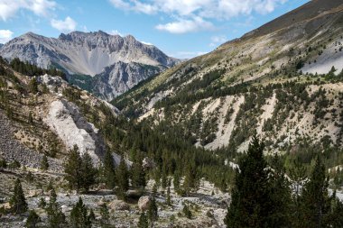 Kaya yüzeyli dağ manzarası