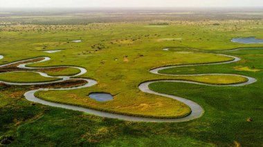 Okavango delta nehir manzarası