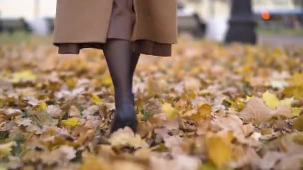 Вид ззаду на жіночі ноги, що ходять по золотому осінньому листю — стокове відео