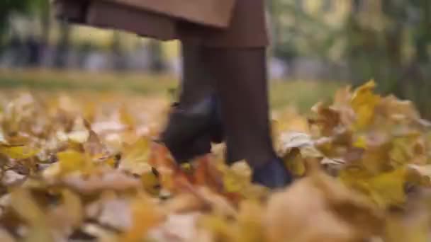 Girl legs walking on fallen yellow autumn leaves — 图库视频影像