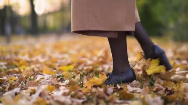 Fille jambes debout sur les feuilles tombées — Video