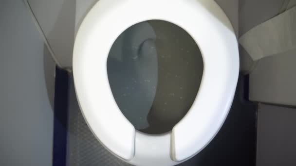 Siram Toilet Pesawat Udara Membilas Air Toilet Pesawat Rekaman Berkualitas — Stok Video