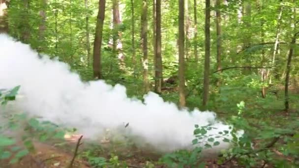 Στρατιωτική Βόμβα Καπνού Μια Πράσινη Δασική Περιοχή Υψηλής Ποιότητας Πλάνα — Αρχείο Βίντεο