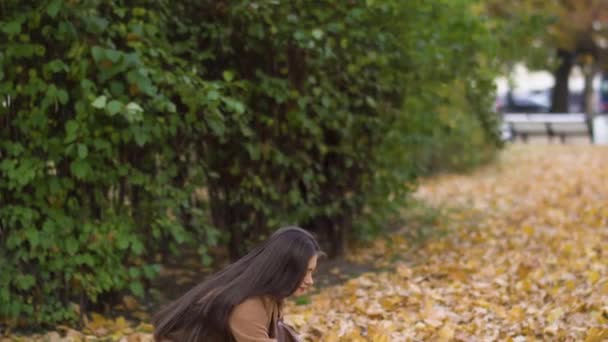 Mädchen Werfen Fröhlich Herbstblätter Die Luft Hochwertiges Filmmaterial — Stockvideo
