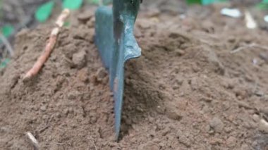 Kürek yere saplandı. Bahçe işleri. Yüksek kalite 4k görüntü