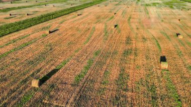 saman balyalarıyla hasat edilen panoramik manzara. Yüksek kalite fotoğraf