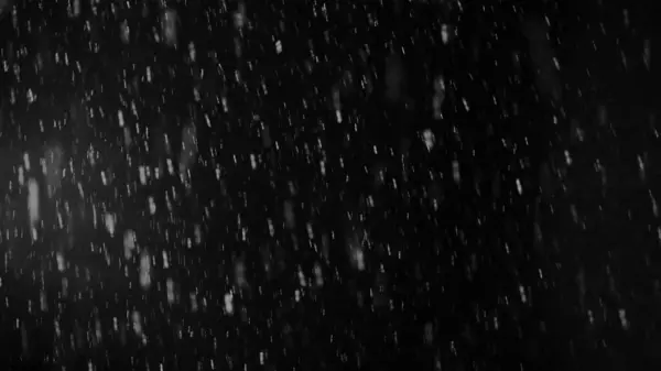 坏天气 雨雪湿雪 降雪隔离在黑色背景上用来作曲 动感图形 大小不一的雪花 与世隔绝的雪花飘落 图库照片
