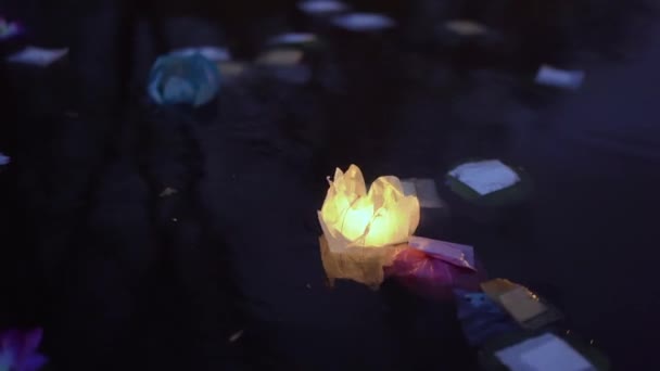 Flutuante Lanternas Vela Lótus Lago Fundo Preto Imagens Alta Qualidade — Vídeo de Stock